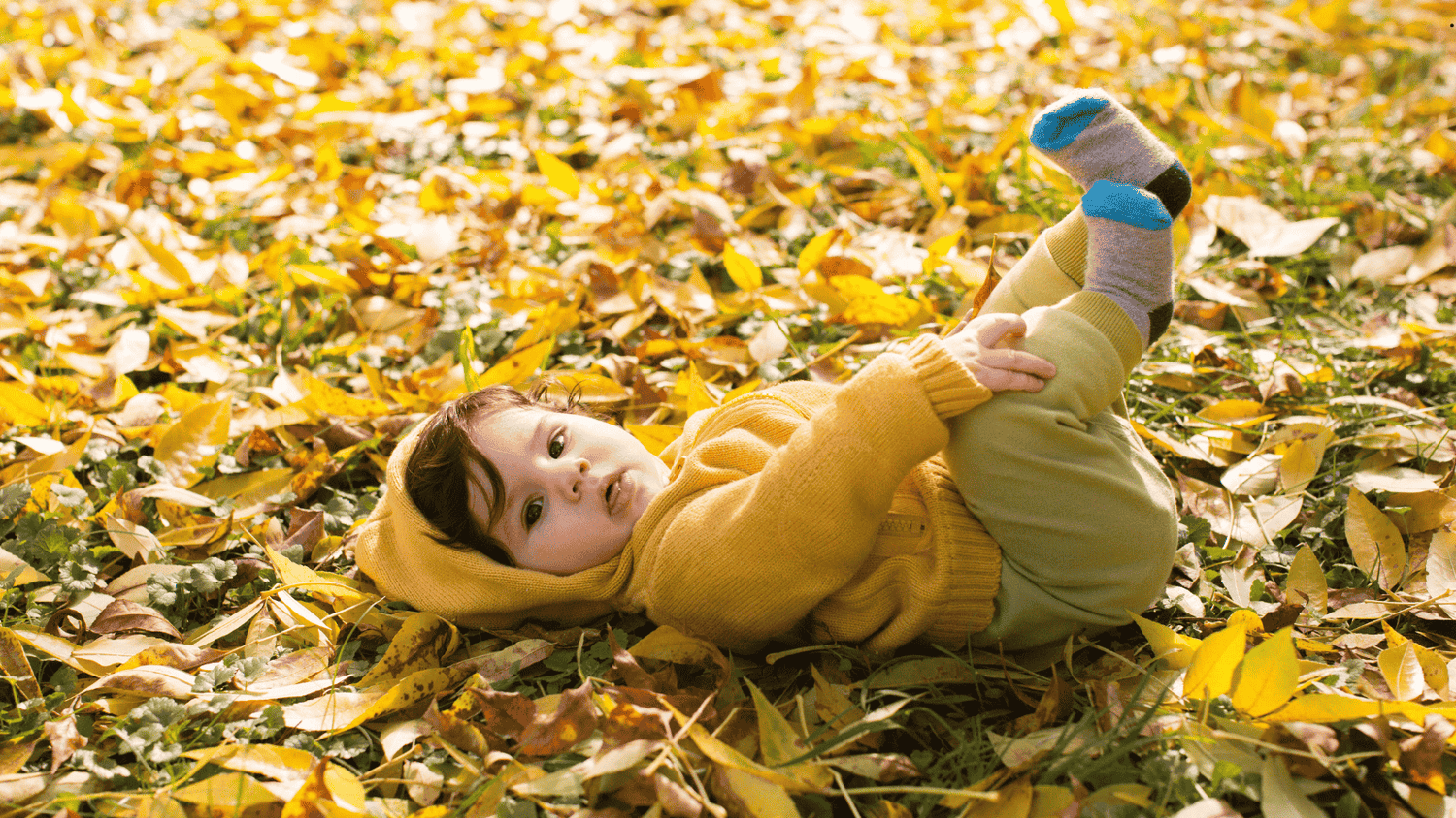 toddler playing in the autumn leaves